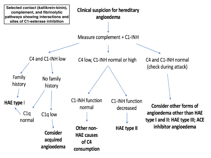 File:Clinical suspicion for hereditary angioedema (DermNet NZ Hereditary-angioedema-Figure-1).jpg