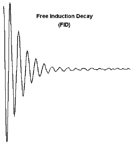 File:Free induction decay (Radiopaedia 22134).png