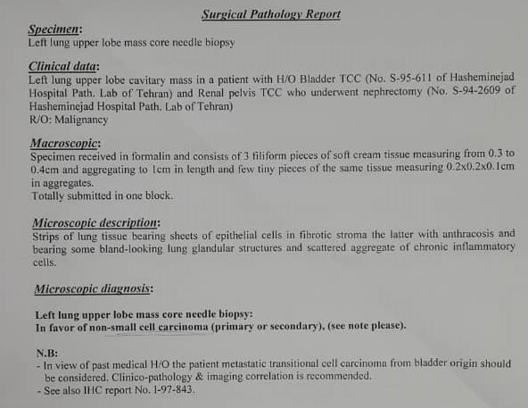 File:Cavitating pulmonary metastases (Radiopaedia 89545-107270 Pathology report 1).JPG