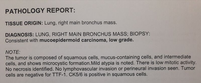 File:Bronchial mucoepidermoid carcinoma (Radiopaedia 57023-63897 A 1).jpg