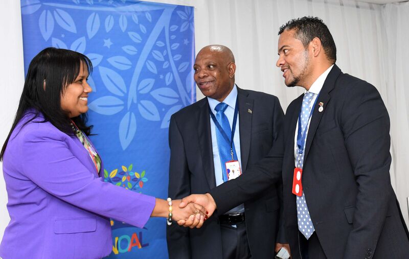 File:Deputy Minister Alvin Botes leads South African delegation to Ministerial Meeting of NAM in Venezuela (GovernmentZA 48346363272).jpg