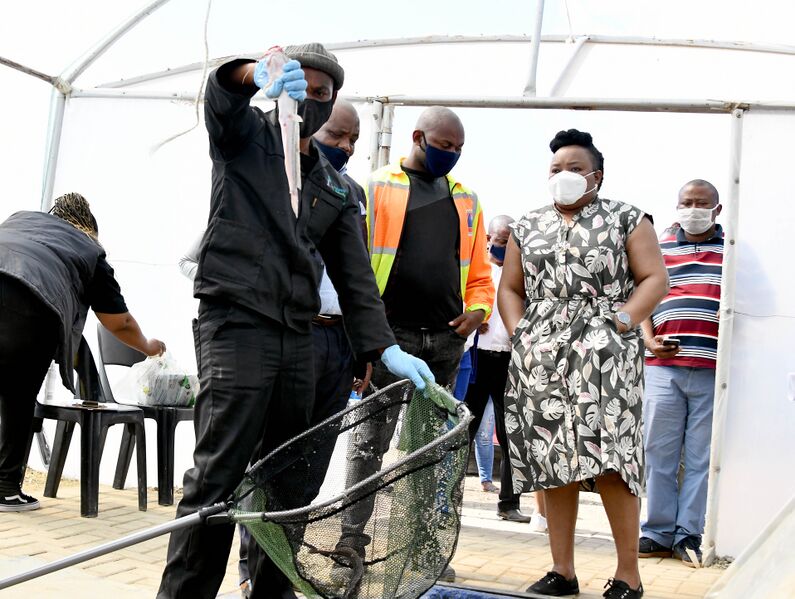 File:Deputy Minister Thembi Siweya assesses impact of -COVID19 towards climate change resilient recovery in Kroonstad (GovernmentZA 50278007366).jpg