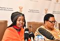 Media briefing on report of Presidential Advisory Panel on Land Reform and Agriculture (GovernmentZA 48402565127).jpg