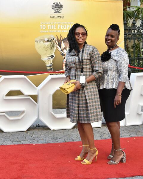 File:2020 State of the Nation Address Red Carpet (GovernmentZA 49530565082).jpg