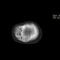 Thumbnail for version as of 09:00, 1 March 2024
