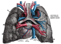 Cardiac vessels - Gray's anatomy illustrations (Radiopaedia 34282-35571 F 1).png
