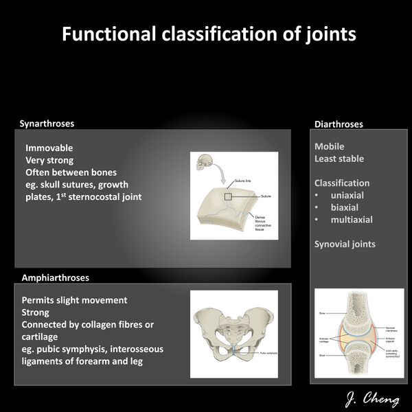 File:Classification of joints - diagram (Radiopaedia 57017-63889 B 1).JPG