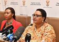 Media briefing on report of Presidential Advisory Panel on Land Reform and Agriculture (GovernmentZA 48402565222).jpg