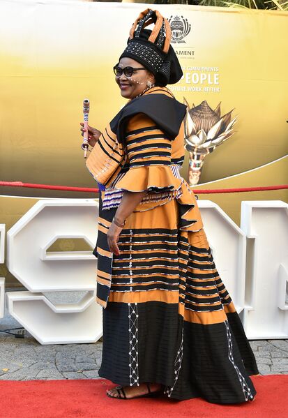 File:2020 State of the Nation Address Red Carpet (GovernmentZA 49531228751).jpg