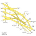 Brachial plexus (diagram) (Radiopaedia 37612-39492 Labelled nerves 1).png