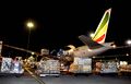 Arrival of medical supplies donated by the People’s Republic of China to South Africa (GovernmentZA 49776911752).jpg