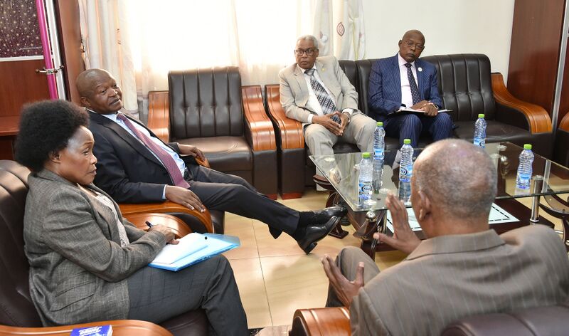 File:Deputy President David Mabuza arrives in Juba on a Working Visit (GovernmentZA 49382822428).jpg