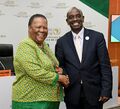 12th Extraordinary Summit of the African Union (GovernmentZA 48238791081).jpg