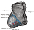Cardiac vessels - Gray's anatomy illustrations (Radiopaedia 34282-35571 C 1).png