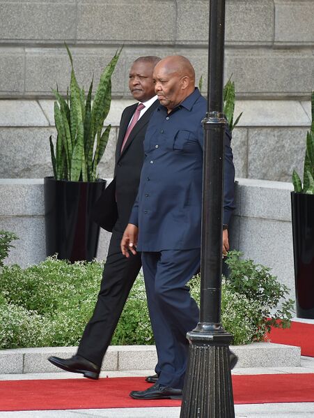 File:2020 State of the Nation Address Red Carpet (GovernmentZA 49531075626).jpg