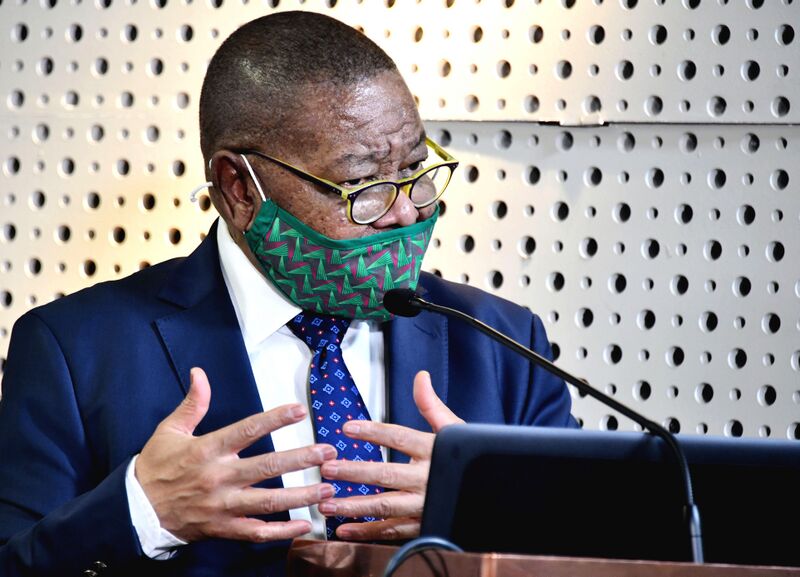 File:Minister Blade Nzimande releases outcome of the Human Sciences Research Council (HSRC) (GovernmentZA 49828077823).jpg