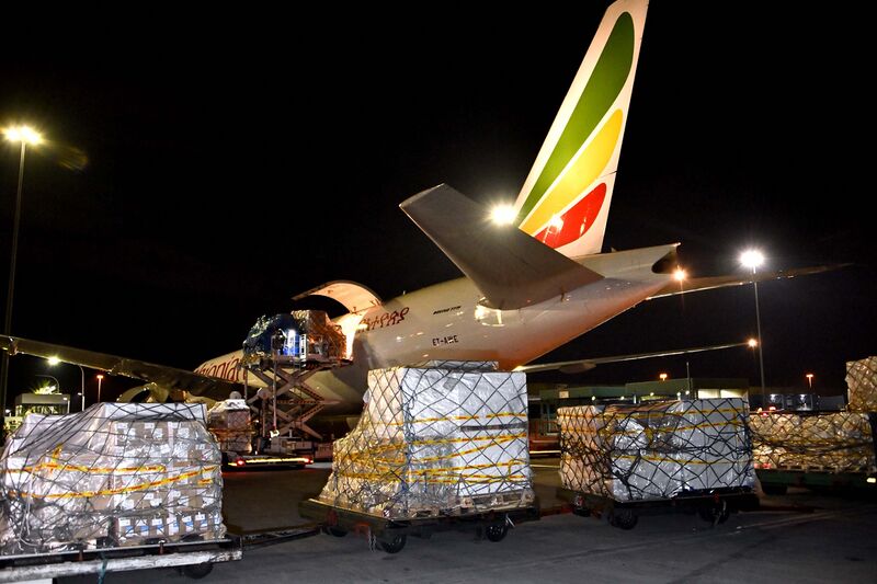 File:Arrival of medical supplies donated by the People’s Republic of China to South Africa (GovernmentZA 49776581836).jpg