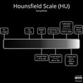 Hounsfield scale (diagram) (Radiopaedia 77397).jpeg