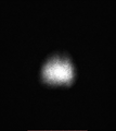 Thumbnail for version as of 16:18, 1 February 2024