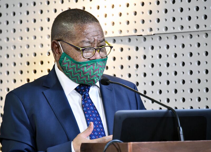 File:Minister Blade Nzimande releases outcome of the Human Sciences Research Council (HSRC) (GovernmentZA 49828607546).jpg