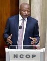 Deputy President David Mabuza answers questions in National Council of Provinces (GovernmentZA 49033191402).jpg