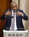 Deputy President David Mabuza answers questions in National Council of Provinces (GovernmentZA 49032465978).jpg