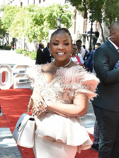 File:2020 State of the Nation Address Red Carpet (GovernmentZA 49530339531).jpg