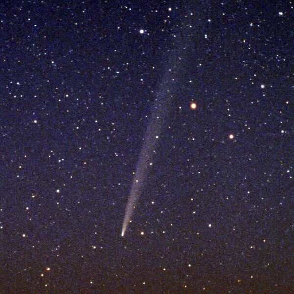 File:Comet tail (photo) (Radiopaedia 9927).JPG