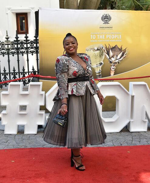 File:2020 State of the Nation Address Red Carpet (GovernmentZA 49530339161).jpg