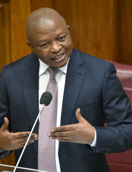 File:Deputy President David Mabuza answers questions in National Council of Provinces (GovernmentZA 49033191072).jpg