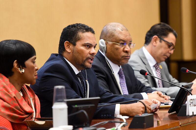 File:Deputy Minister Alvin Botes addresses Annual High Level Panel on Human Rights Mainstreaming (GovernmentZA 49583386461).jpg