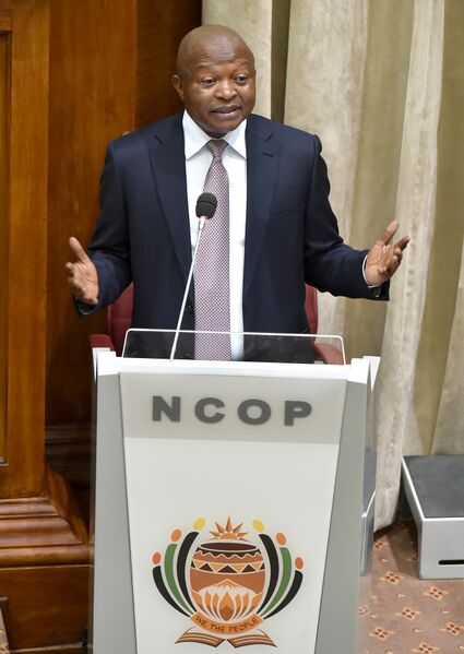 File:Deputy President David Mabuza answers questions in National Council of Provinces (GovernmentZA 49033191297).jpg