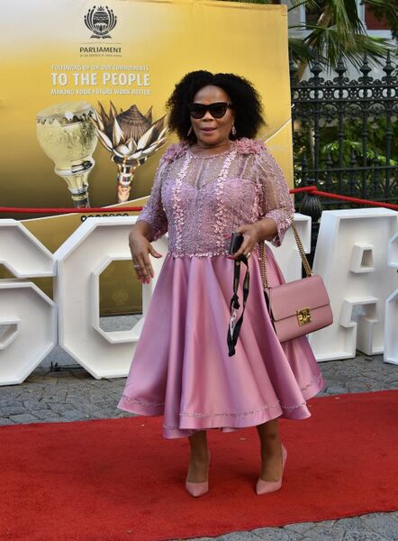 File:2020 State of the Nation Address Red Carpet (GovernmentZA 49530338651).jpg