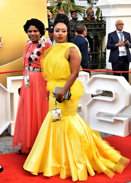File:2020 State of the Nation Address Red Carpet (GovernmentZA 49531215621).jpg