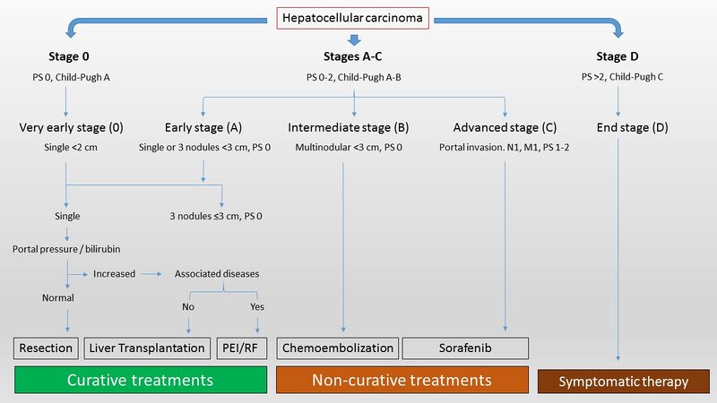 File:Barcelona clinic liver cancer (BCLC) staging classification (Radiopaedia 34365-35652 A 1).jpg