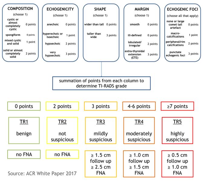 File:ACR TI-RADS scoring system (diagram) (Radiopaedia 52373-58271 Summary 1).jpeg