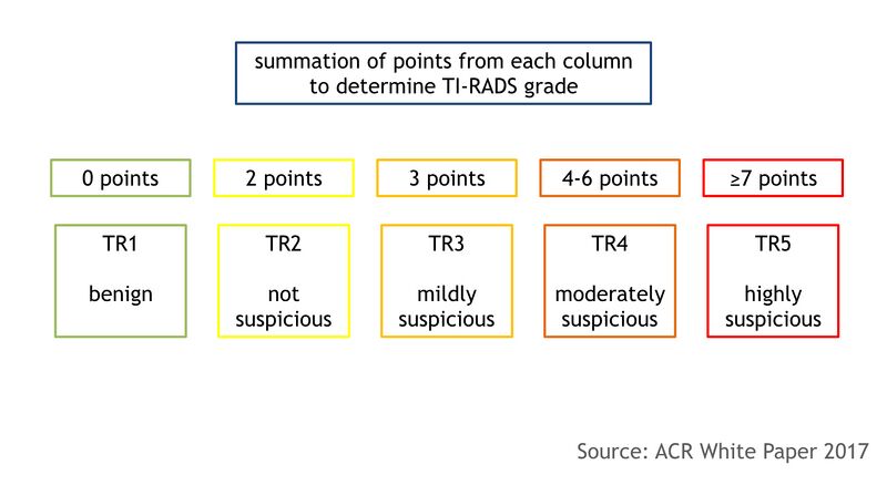 File:ACR TI-RADS scoring system (diagram) (Radiopaedia 52373-58272 Scores and levels 1).jpeg