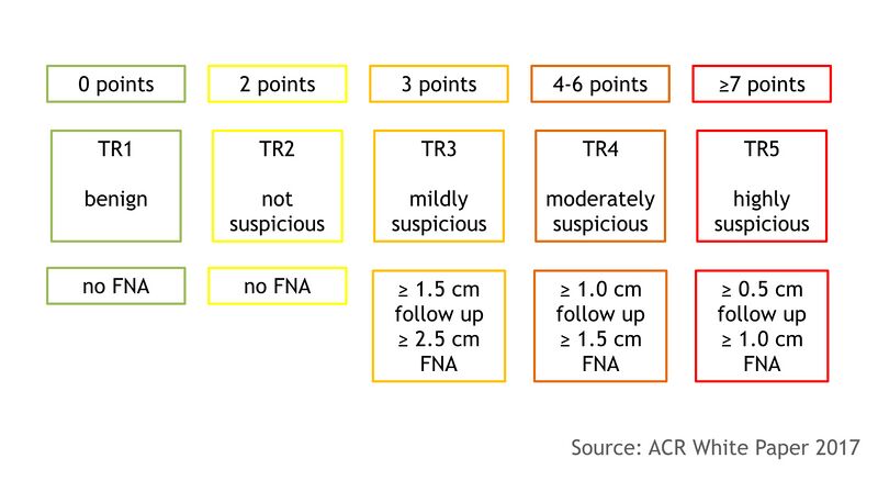 File:ACR TI-RADS scoring system (diagram) (Radiopaedia 52373-58272 Recommendations 1).jpeg