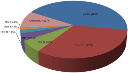 South Korea-The main case of acute hepatitis were hepatitis A virus 44% (2005-10)