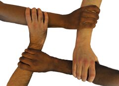 Ethnic diversity strengthens bonds (DermNet NZ 130503-F-QL239-11).jpg