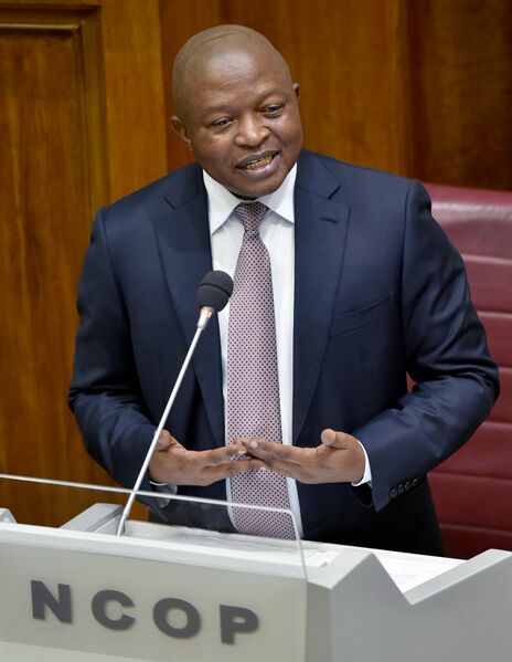 File:Deputy President David Mabuza answers questions in National Council of Provinces (GovernmentZA 49032966856).jpg