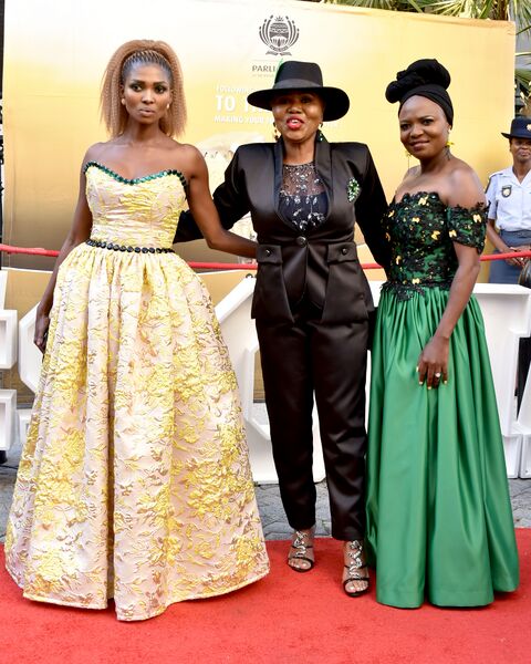 File:2020 State of the Nation Address Red Carpet (GovernmentZA 49531216006).jpg