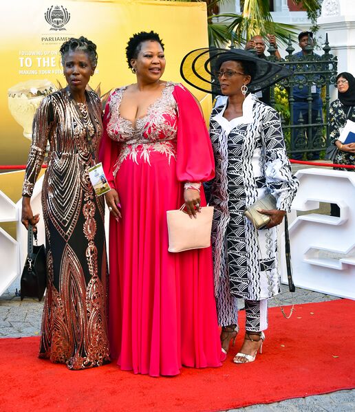 File:2020 State of the Nation Address Red Carpet (GovernmentZA 49530726203).jpg