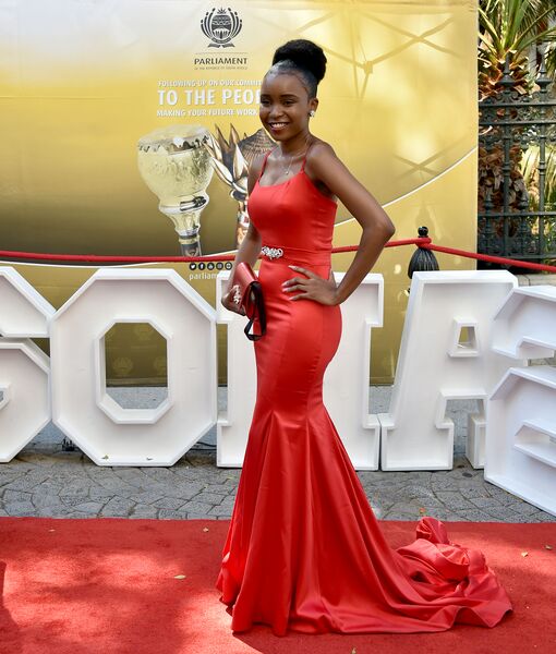 File:2020 State of the Nation Address Red Carpet (GovernmentZA 49531651632).jpg