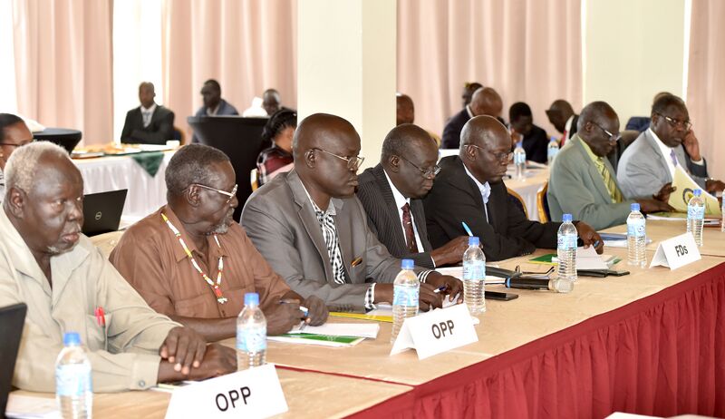 File:Deputy President David Mabuza facilitates meeting to resolve conflict in South Sudan (GovernmentZA 49162469973).jpg