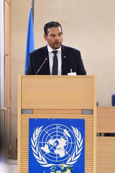 File:Deputy Minister Alvin Botes addresses Annual High Level Panel on Human Rights Mainstreaming (GovernmentZA 49586432898).jpg