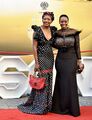 2020 State of the Nation Address Red Carpet (GovernmentZA 49531453632).jpg