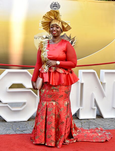 File:2020 State of the Nation Address Red Carpet (GovernmentZA 49530923568).jpg